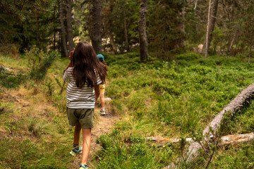 Children Exploring a Forest Trail Together