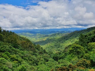 Fototapeta premium Paisagem Campos