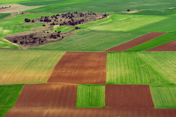 Aerial photo of a multicolored and fertile cultivated field during spring season