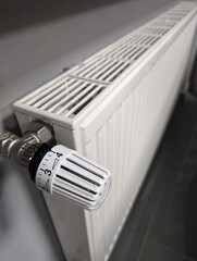 heating radiator on the wall vertical