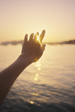 sunset dreaming