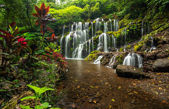 Beatiful waterfall and flowers in North of Bali, Indonesia