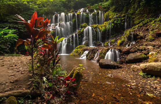 Beatiful waterfall and flowers in North of Bali, Indonesia