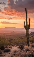 Stunning Sunset Over the Mojave Desert Featuring a Prominent Cactus Silhouette Against the Horizon. Generative AI