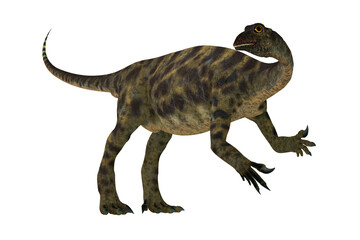 Anchisaurus Dinosaur - Anchisaurus was a omnivorous prosauropod dinosaur that lived in the Jurassic Periods of North America, Europe and Africa.