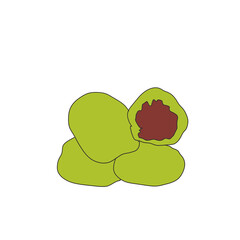 Cake Asian Illustration