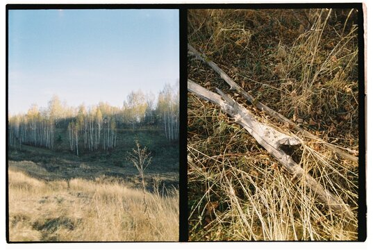 Diptych of two photos of fall nature 
