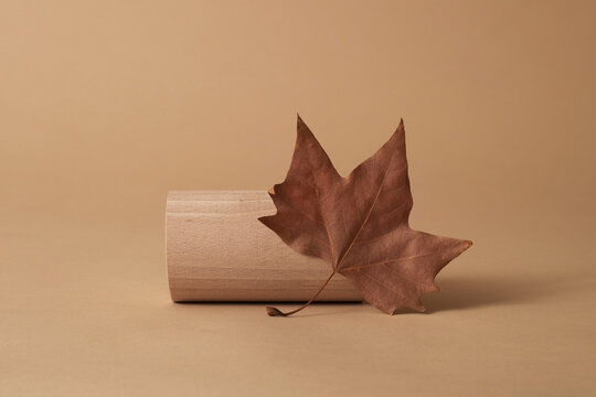autumn leaf next to a wooden cylinder