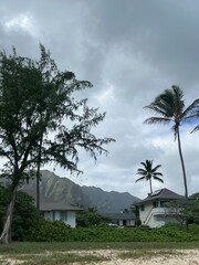 Coastal Homes with Mountain Views and Palm Trees Under a Cloudy Sky