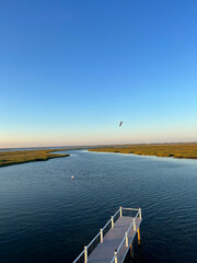 Serene Dock Stretching Over Calm Waters Under a Clear Blue Sky