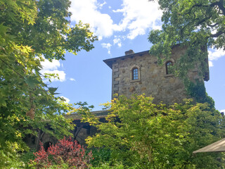 Obraz premium castle in the mountains