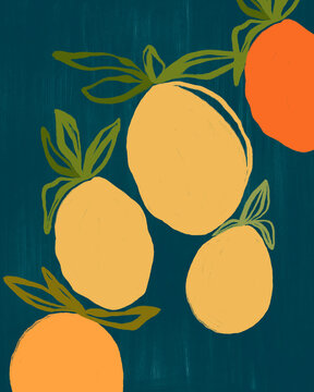 Minimal Citrus Fruit Drawing