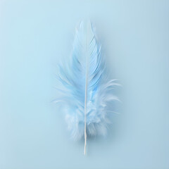Obraz premium feather on blue background