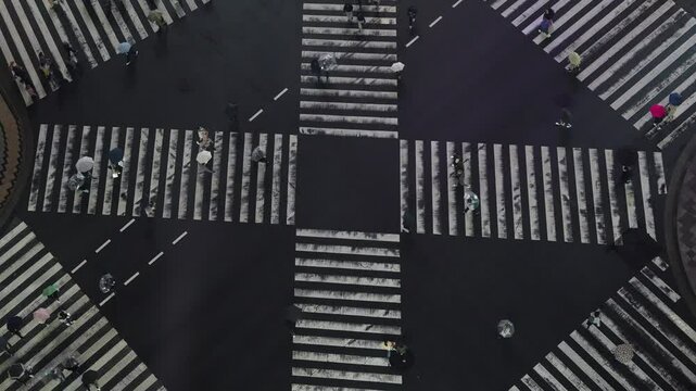 Top view of busy pedestrians holding umbrellas crossing a zebra crossing in Tokyo. Japan on a rainy day