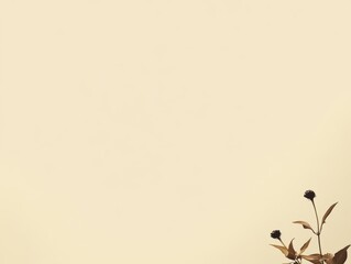 Fototapeta premium Soft Beige Background with Subtle Calming Tone