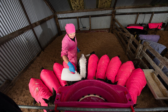Pink power