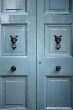 Door With Two Fox Door Knockers