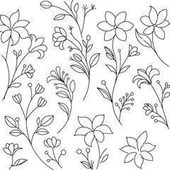 Elegant Hand-Drawn Floral Doodles | Botanical Outline Elements