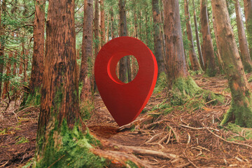 GPS point amid towering trees in a serene forest setting