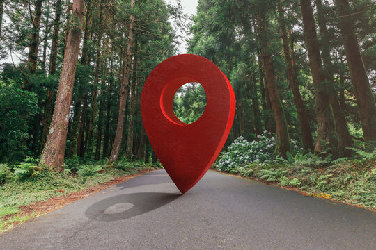 GPS marker in the heart of a vast forest pathway