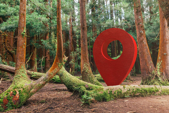 GPS marker in a dense forest showcasing nature and navigation point