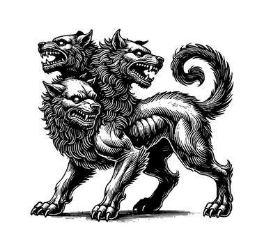 cerberus engraving black and white outline