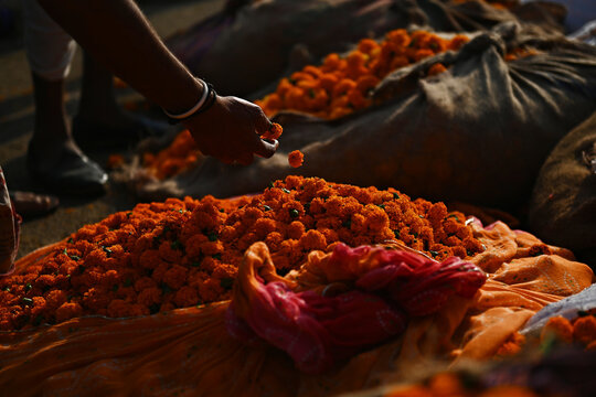 Flower bundles at a market in India