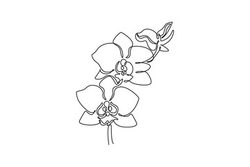 Continuous one line drawing of beauty fresh orchid for garden logo. Printable decorative poster orchidaceae flower concept for home wall decor art. Single line draw design vector graphic illustration