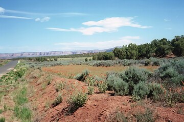 A photo of Burr Trail Road.