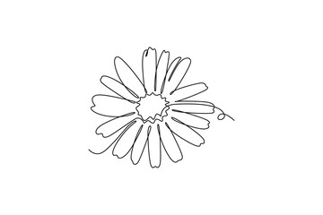 Single continuous line drawing beauty fresh bellis perennis. Printable decorative poster common daisy flower concept for wall home decoration. Dynamic one line draw graphic design vector illustration © onetime