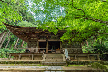 Naklejka premium 女人高野室生寺 本堂(灌頂堂) 奈良県宇陀市室生