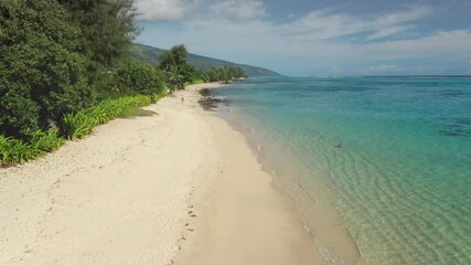 Aerial fly over tourists relax pristine white sand beach in Tahiti, French Polynesia, crystal clear turquoise water, palm trees, blue sky. Remote nature paradise, exotic summer travel vacation spot