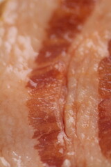 Macro Images of Raw Meats Like Beef, Salmon, Bacon, Salami