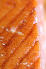 Macro Images of Raw Meats Like Beef, Salmon, Bacon, Salami