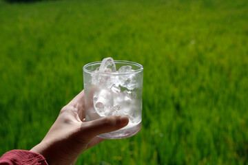 glass of ice water in the hand