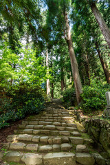 Obraz premium 女人高野室生寺 奥之院へ続く参道 奈良県宇陀市室生