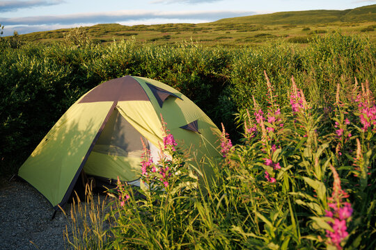 Tent Camping