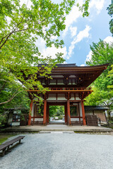 Fototapeta premium 女人高野室生寺 仁王門 奈良県宇陀市室生