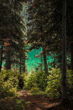Hiking at Boom Lake