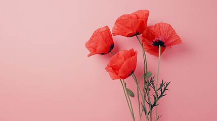 Bright Red Poppies on Soft Pink Background