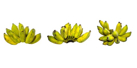 Half ripe ducasse banana or Namwa banana isolated on white background