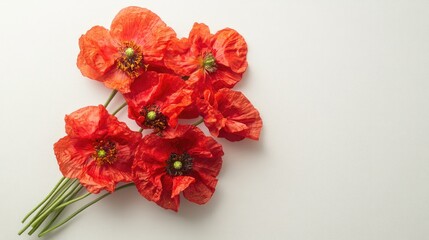 Vibrant Red Poppies on Light Background