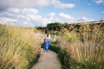 Woman in nature path surrounded by tall grass plants