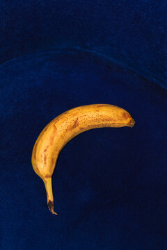 A ripe banana on a dark blue textured chair background with copy space