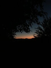 sunset in the forest