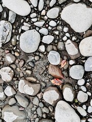 stone wall background with red leaf