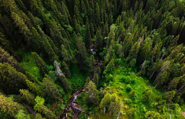 Small river flowing through a green forest, aerial view