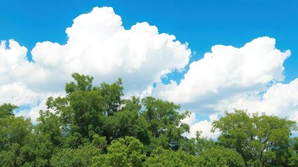 Fototapeta premium Vibrant blue sky with puffy white clouds, ideal for backgrounds and design projects, cloud formation, background, design