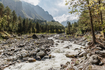 Mountain river flowing through forest in Tsey
