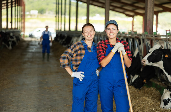 Portrait of two female workers of a cow farm with cows in a stall in the background